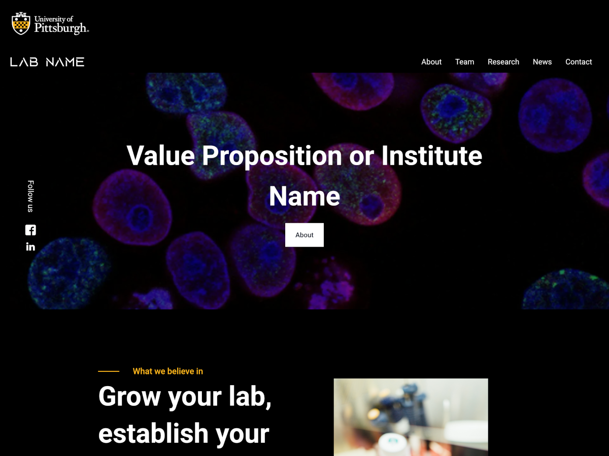 University of Pittsburgh Gamma Lab screenshot