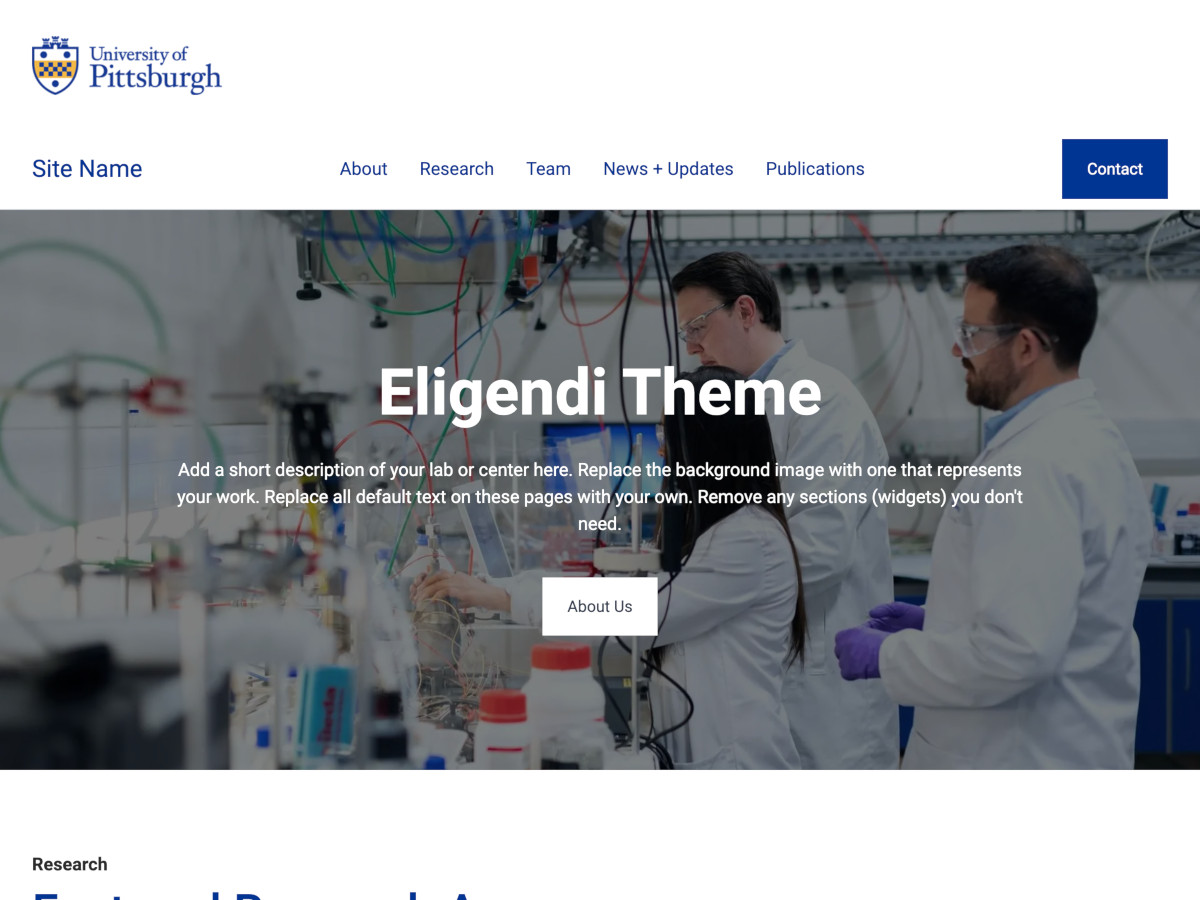 Eligendi Lab template