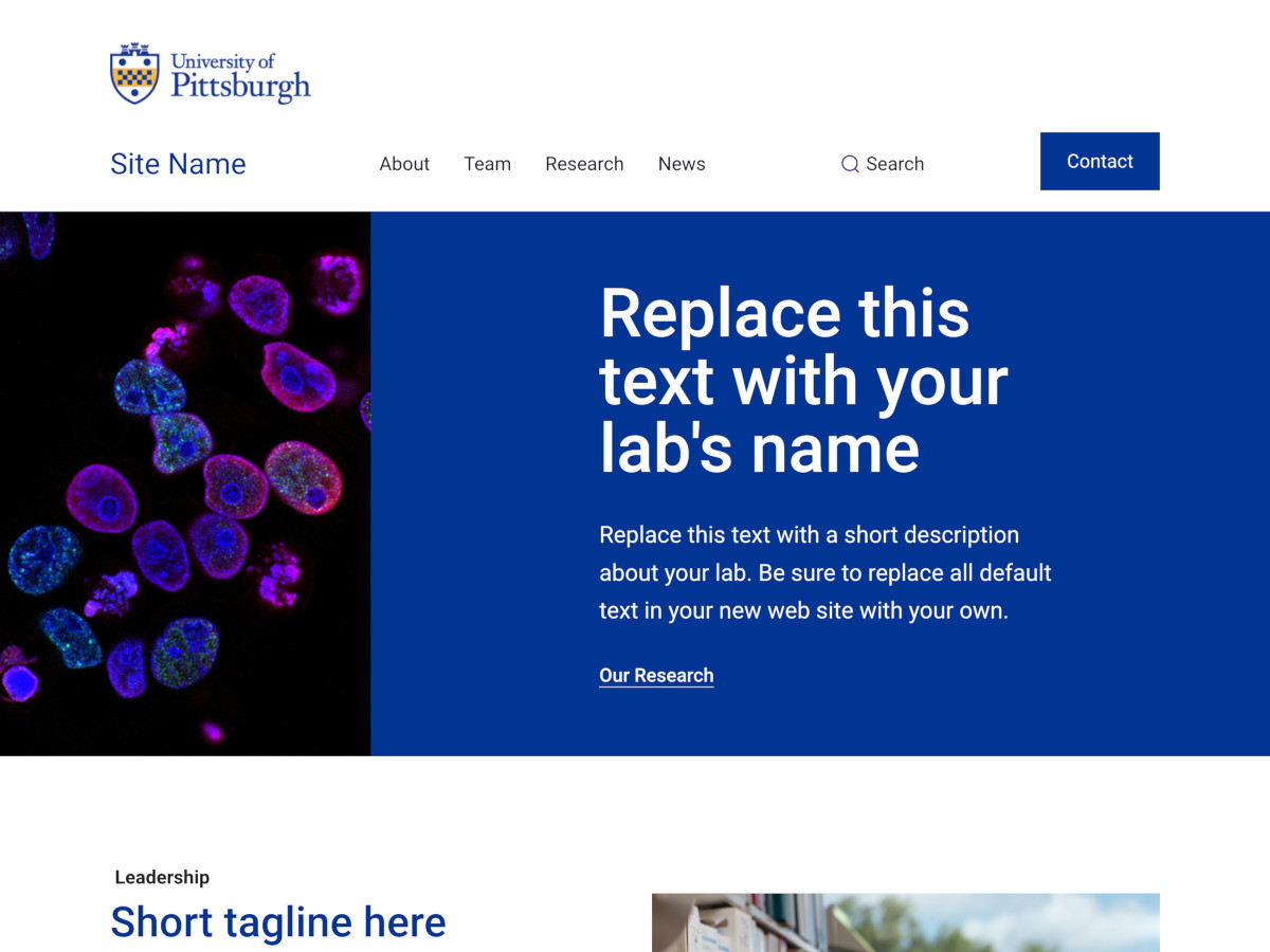 Modern Lab template