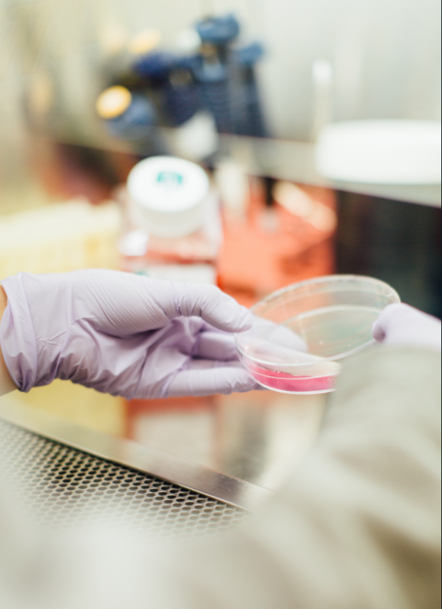 hands wearing gloves in laboratory environment
